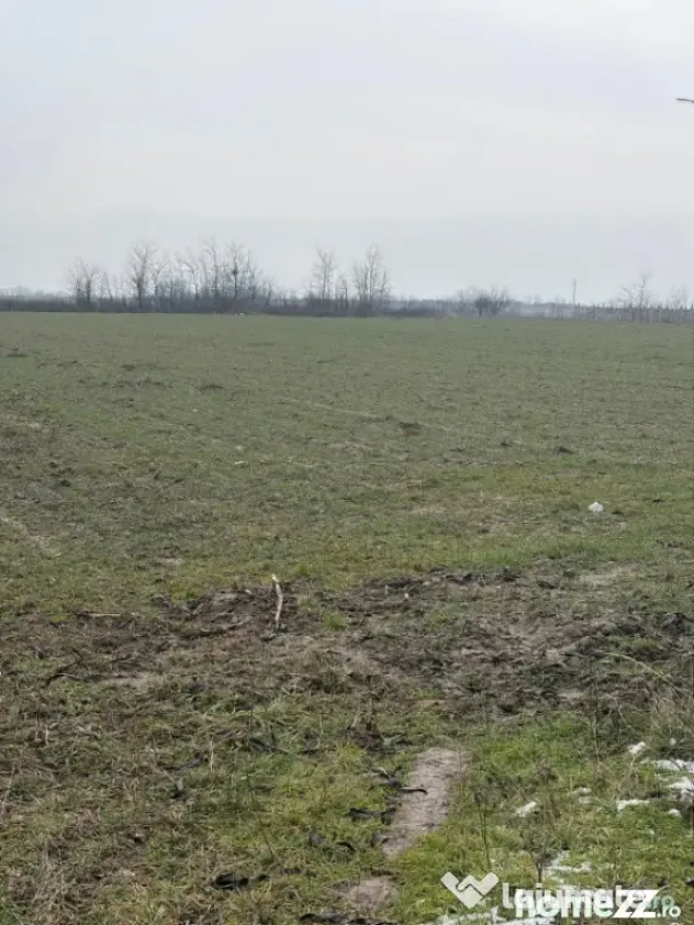 Teren de 9000mp, la intrarea in Filiasi ,la 300m de str. Rac