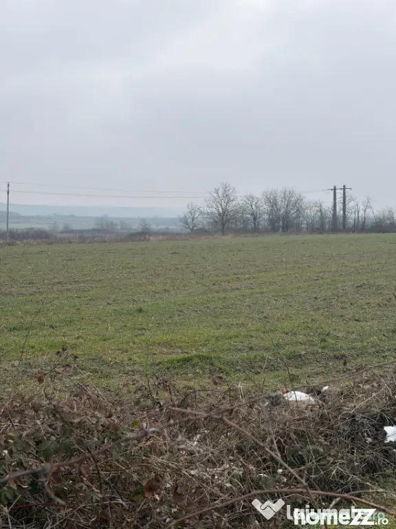 Teren de 9000mp, la intrarea in Filiasi ,la 300m de str. Rac