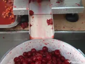 Echipament de scos samburii la visine si cirese amare 