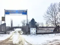 Domeniu privat, 12.500 mp teren, satul Viișoara - Târgovi?