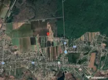 Teren intravilan Peris, 4080 mp