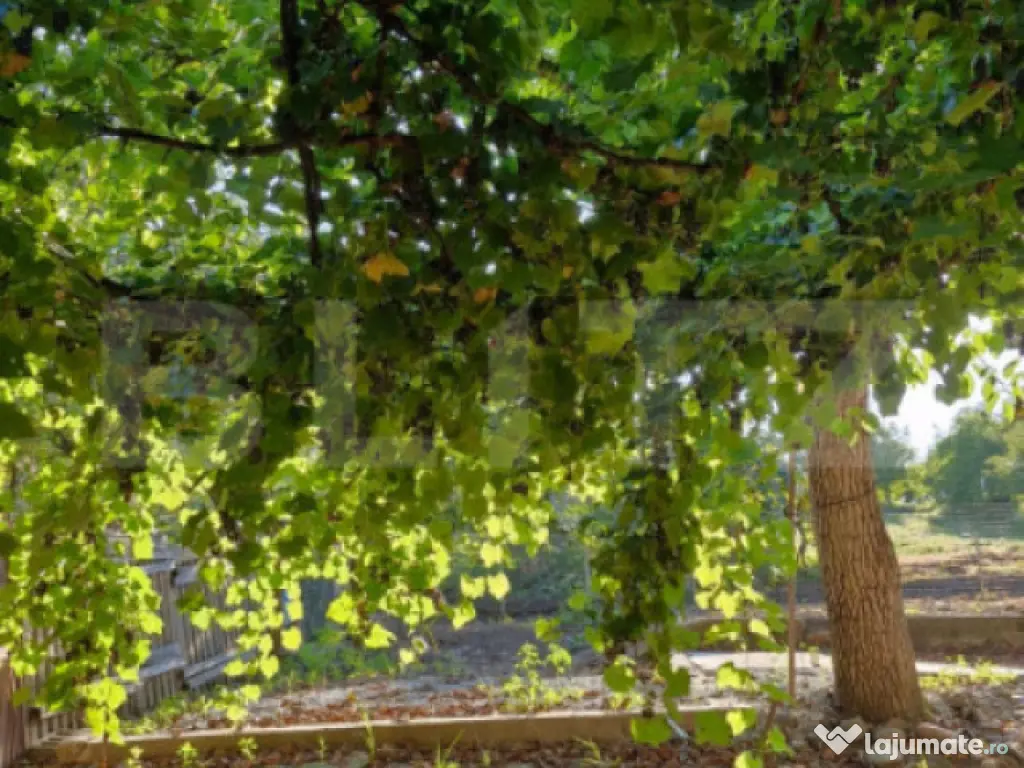 Casă de vânzare – Budacu de Jos | 6 km de centrul Bistri