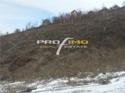 Moeciu, Drumul Carului, teren 3750 mp, 75000 euro 