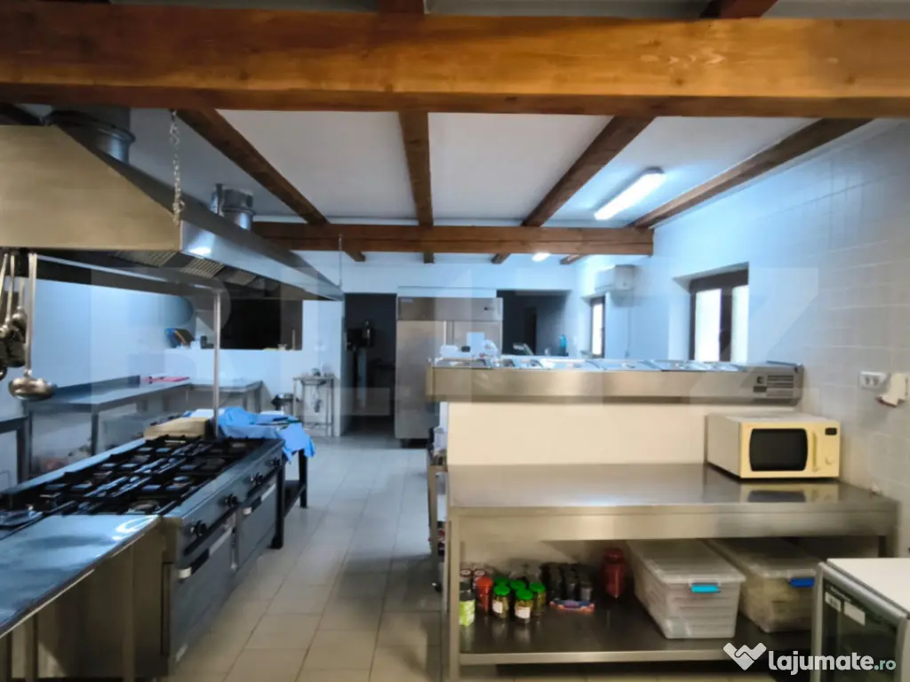 Proprietate multifuncțională, 1.850 mp utili, 23.750 mp te