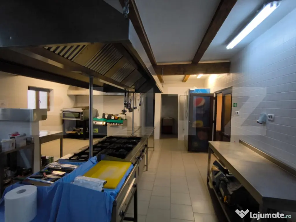 Proprietate multifuncțională, 1.850 mp utili, 23.750 mp te