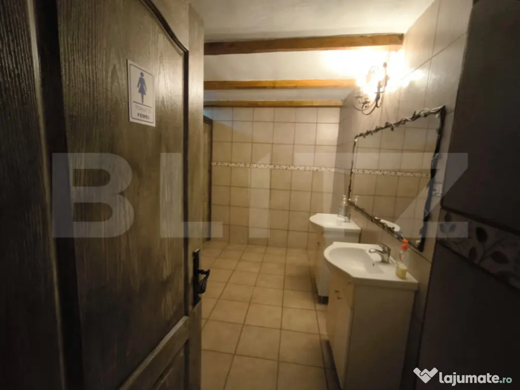 Proprietate multifuncțională, 1.850 mp utili, 23.750 mp te