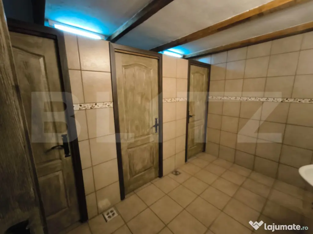 Proprietate multifuncțională, 1.850 mp utili, 23.750 mp te