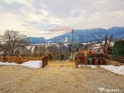 Cabana la Flo, 8 cam,P + M, teren 888 mp oportunitate de ... 