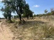 Teren intravilan 5744 mp Mosoaia-Prunilor 