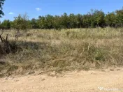 Teren intravilan 5744 mp Mosoaia-Prunilor 