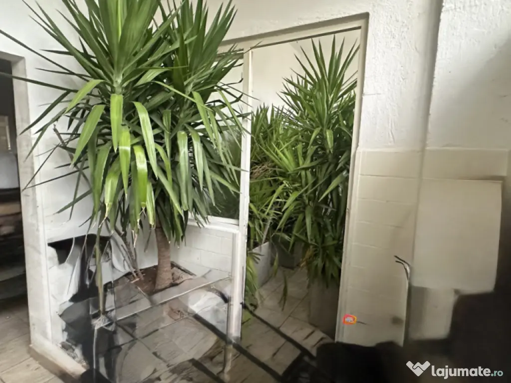 Spațiu comercial, 146 mp, zona Centru