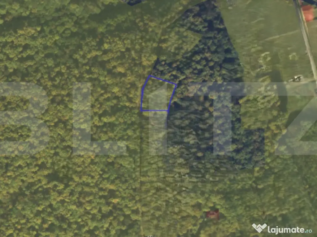 Teren împădurit intravilan de vânzare, 1000 mp, Alba Iuli