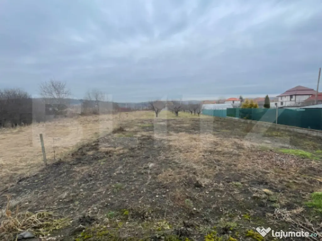 Casa 310 mp utili, 2900 mp teren, zona Insula, Campia Turzii