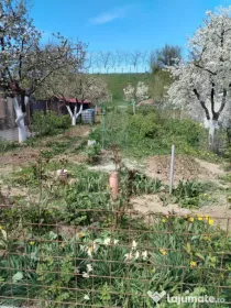 Dublă Oportunitate: Casă Nouă 2020 + Casă Tradițională