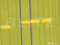 Teren Extravilan, 2500 mp, zona Bosanci