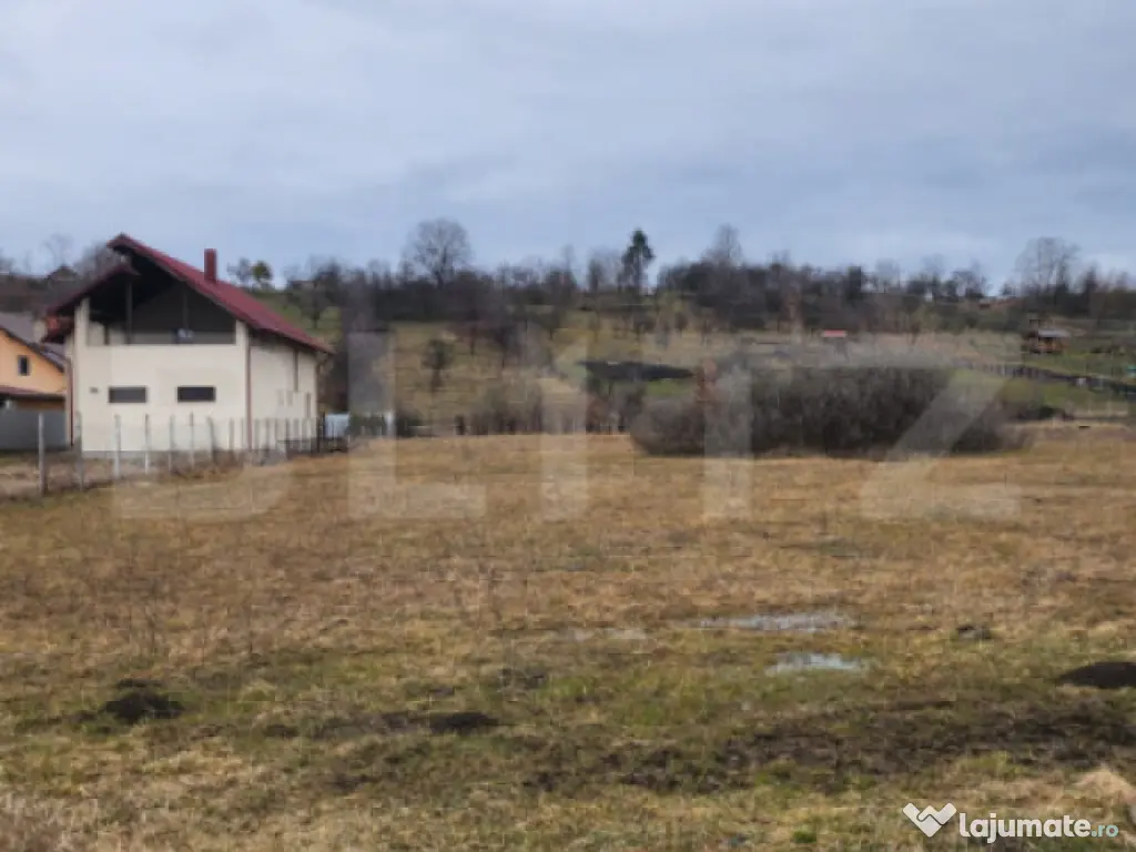 Teren intravilan,comuna Livezile,ocazie buna de investitie!