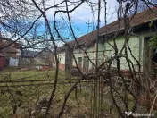 Casa Pietroasa -Bihor central,sosea , gaz, 2500 teren, dublu front 