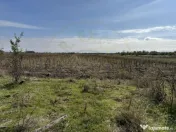 Teren 5216 mp la 2 pasi de autostrada A1 