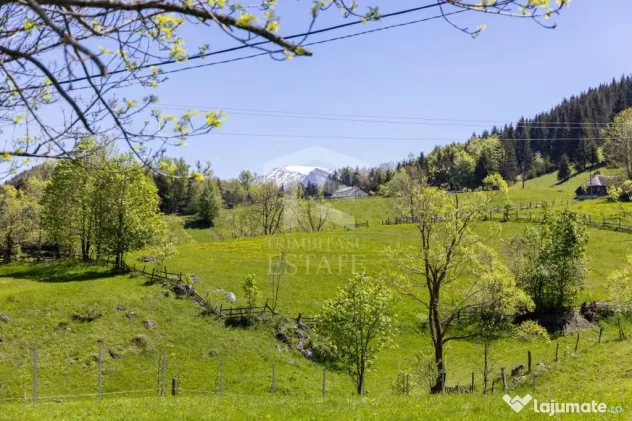 Fundata | Teren de vanzare | 7,656 mp + Cabane tip A Frame