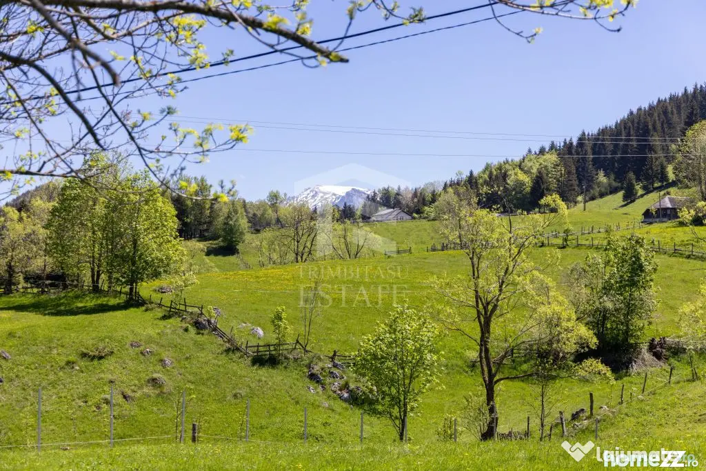 Fundata | Teren intravilan | 7,656 mp + Cabane tip A Frame - Fundata (Brasov)
