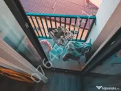 Apt. ultralux, central 2 cam. zona Unirii, Str. Vulturilor, bloc 2018 