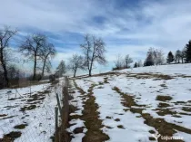 Teren intravilan zona Sohodol, Bran