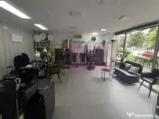Spatiu Comercial Stradal Șoseaua Colentina zona Teiul Do... 