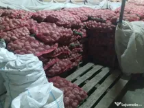 Cartofi rosii Laura samanta/consum