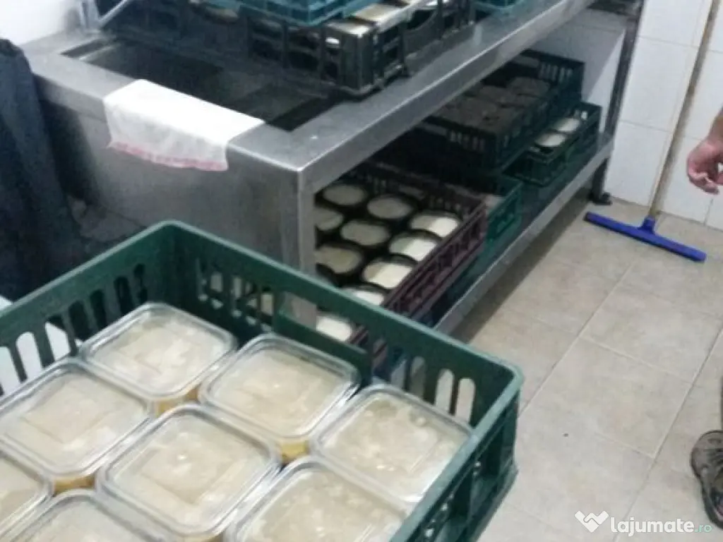 Fast-food cu profit garantat sector 2