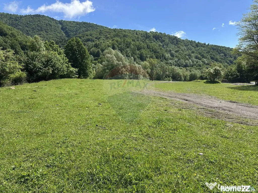 Teren 1,340mp Cuejdiu / Strada Cuejdiului