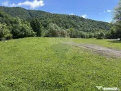 Teren 1,340mp Cuejdiu / Strada Cuejdiului 
