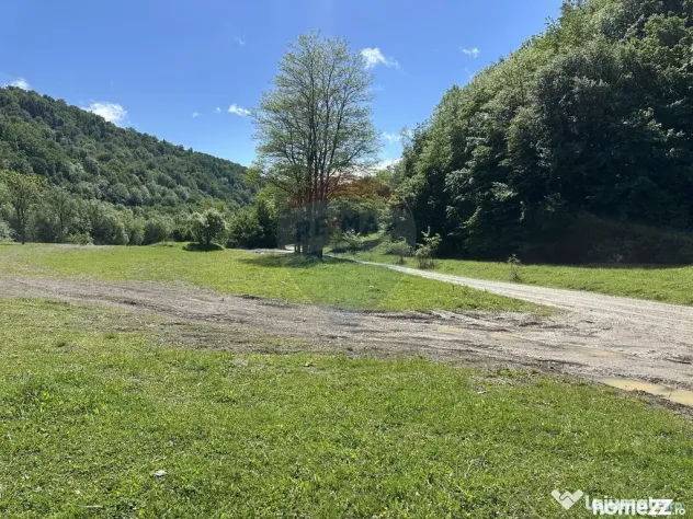 Teren 1,340mp Cuejdiu / Strada Cuejdiului - Cuejdiu (Neamt)