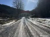 Teren 1,340mp Cuejdiu / Strada Cuejdiului 