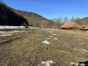 Teren 1,340mp Cuejdiu / Strada Cuejdiului 