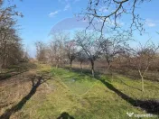 Teren 2,300mp Petresti / Strada Lacramioarei 