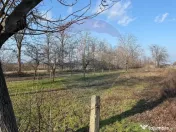 Teren 2,300mp Petresti / Strada Lacramioarei 