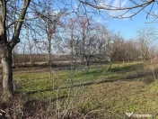 Teren 2,300mp Petresti / Strada Lacramioarei 