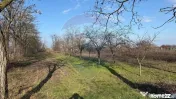 Teren 2,300mp Petresti / Strada Lacramioarei 