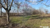 Teren 2,300mp Petresti / Strada Lacramioarei