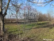 Teren 2,300mp Petresti / Strada Lacramioarei 