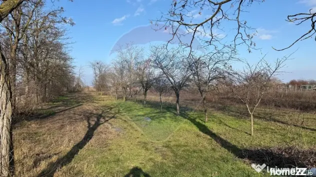 Teren 2,300mp Petresti / Strada Lacramioarei - Petresti (Vrancea)