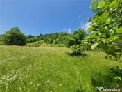 FILM! 1.450 mp intravilan, la DN, incantare peisagistica, Br 