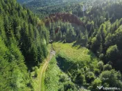 Teren 2,895mp Strada Priseci acces auto in zona telecabin... 