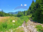 Teren 2,895mp Strada Priseci acces auto in zona telecabin... 