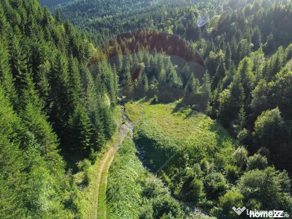 Teren 2,895mp Strada Priseci acces auto in zona telecabin...
