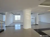 Splaiu Unirii teren 5000 mp Imobil S+P+5 Showroom, Clinic... 
