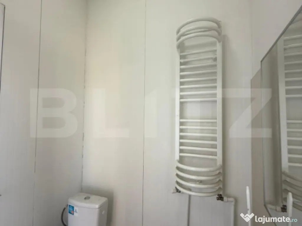 Spatiu comercial, zona Centrala, Str Victoriei