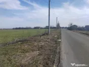 Cernica Tanganu super pret rezidential sau depozitare 