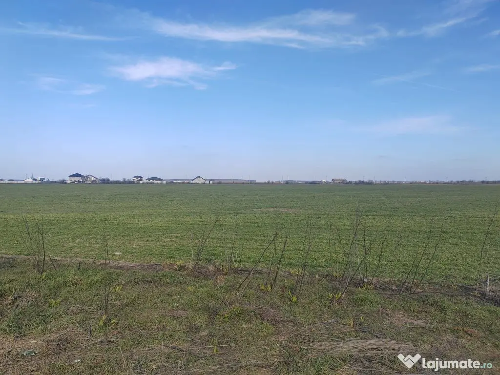 Cernica Tanganu super pret rezidential sau depozitare