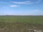 Cernica Tanganu super pret rezidential sau depozitare 